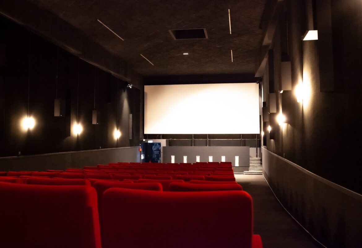 Les places de cinéma sont-elles trop chères ?