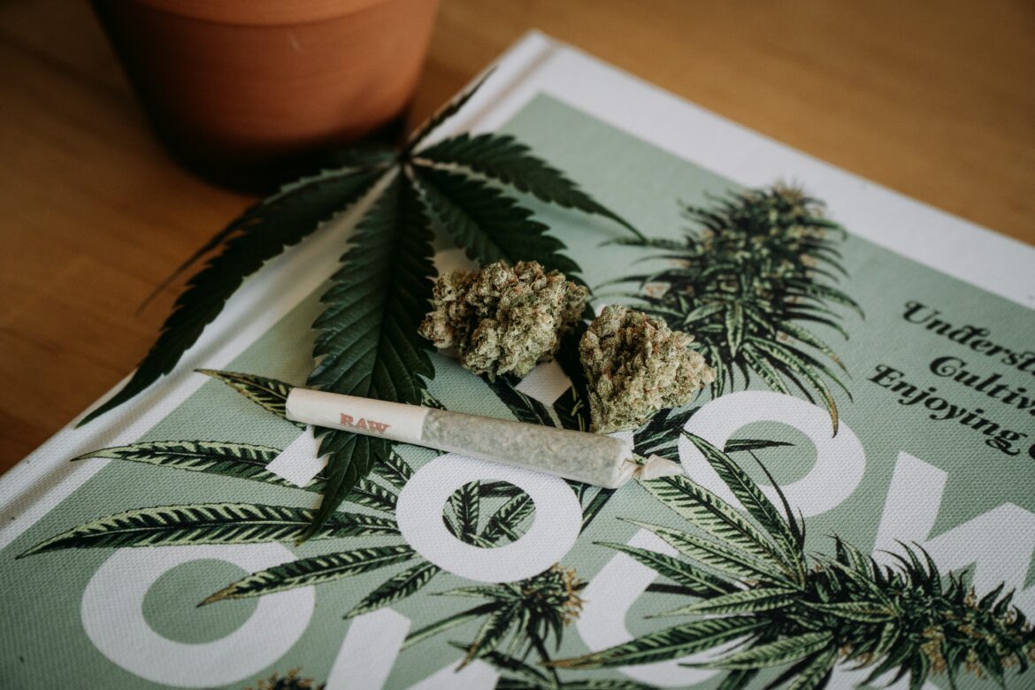 News d’outre-Rhin : Cannabis-Legalisierung, ou la légalisation du cannabis 