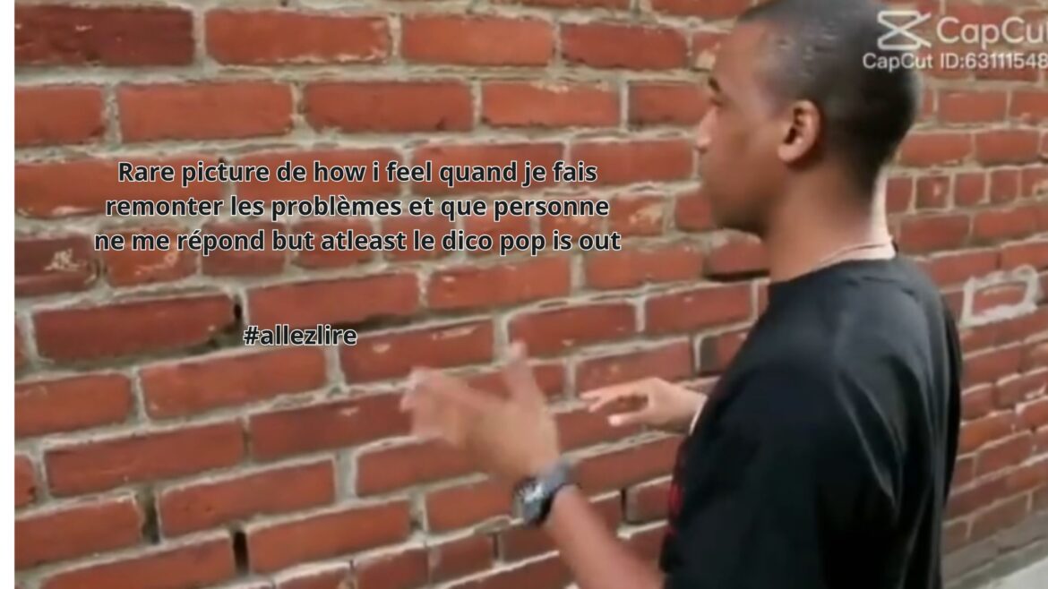 Dico&rsquo;Pop – Semaine 47