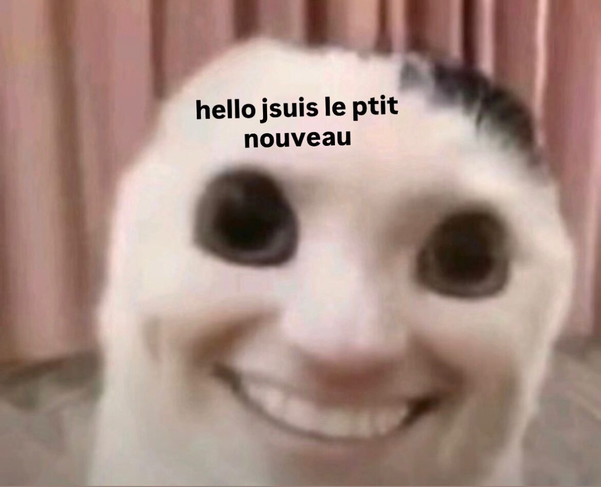 Dico&rsquo;Pop – Semaine 49