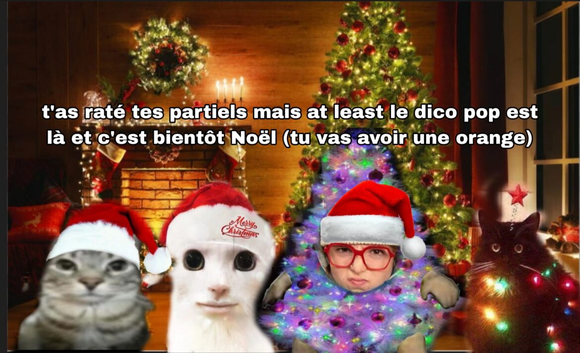 Dico&rsquo;Pop – Semaine 50