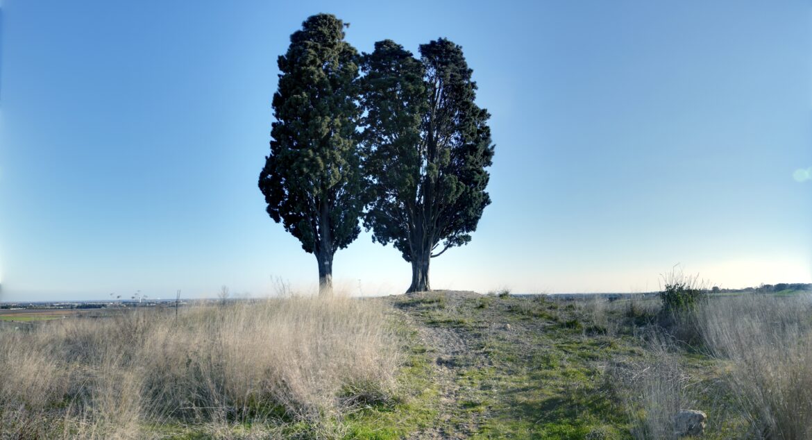 Sans toit ni loi (1985) d’Agnès Varda : Celle qui avance, libre avant tout