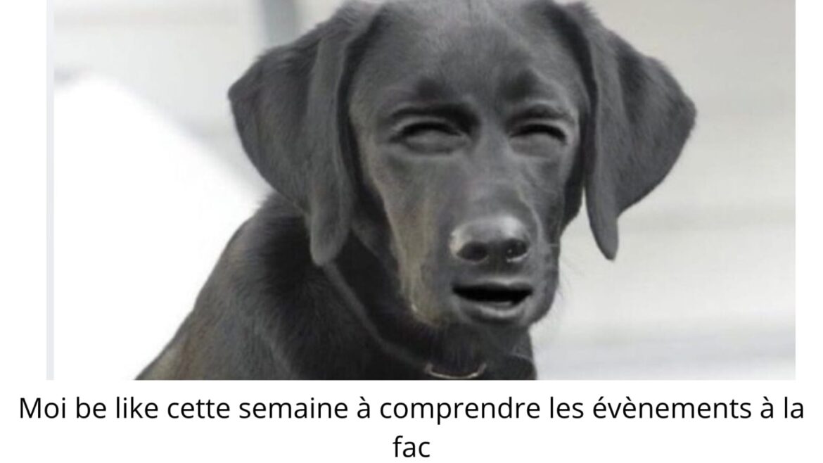 Dico&rsquo;pop – Semaine 18