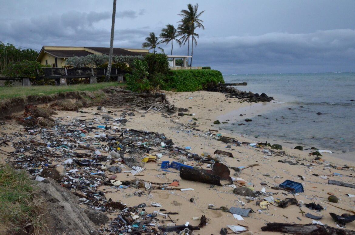 Nettoyer les plages suffit-il vraiment à sauver l’océan ?